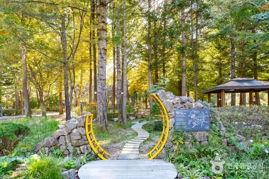 Foto oficial de Bosque del ciudadano de Maeheon