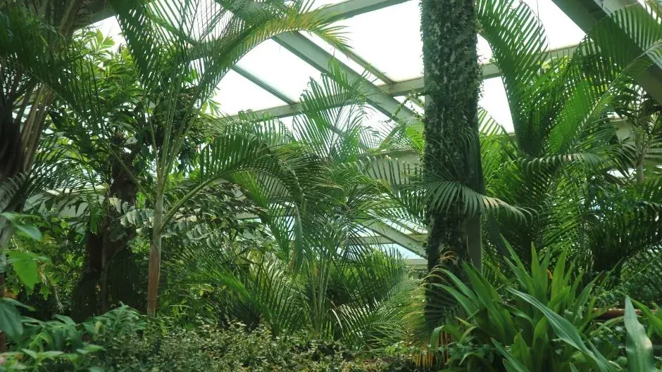 Foto oficial de Bosque de Seúl