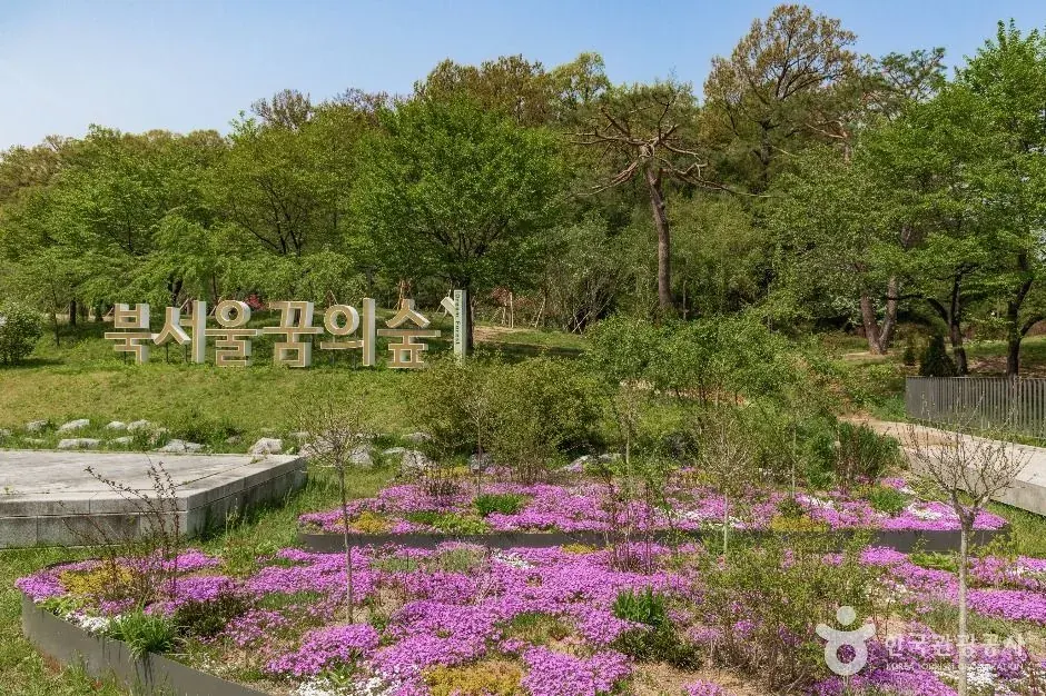North Seoul Dream Forest official photo
