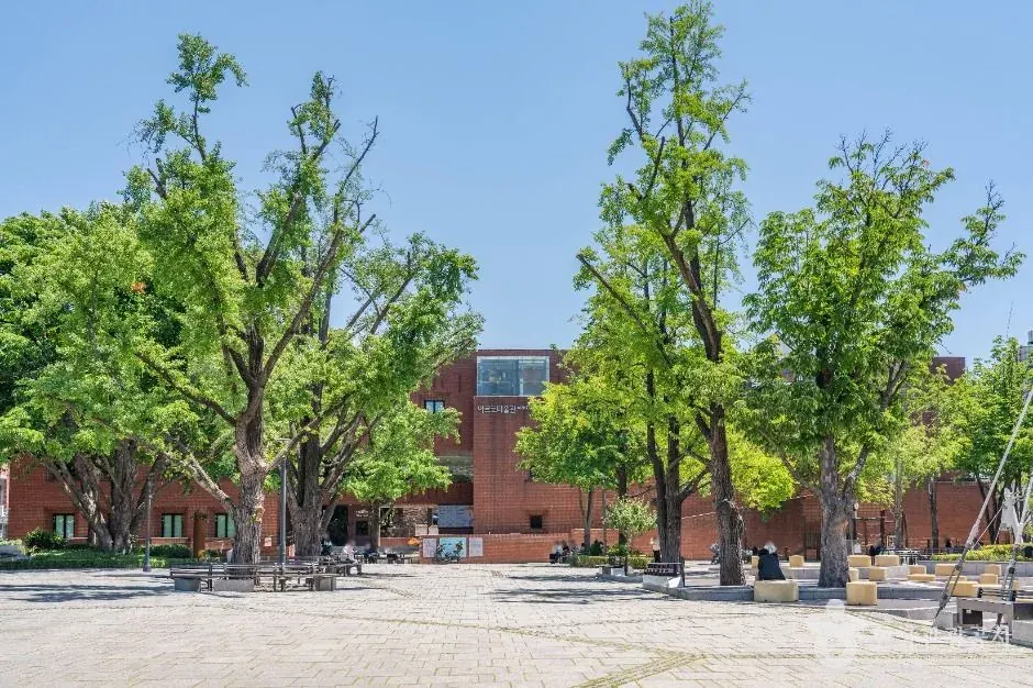 Foto oficial de Parque del Castaño de Indias