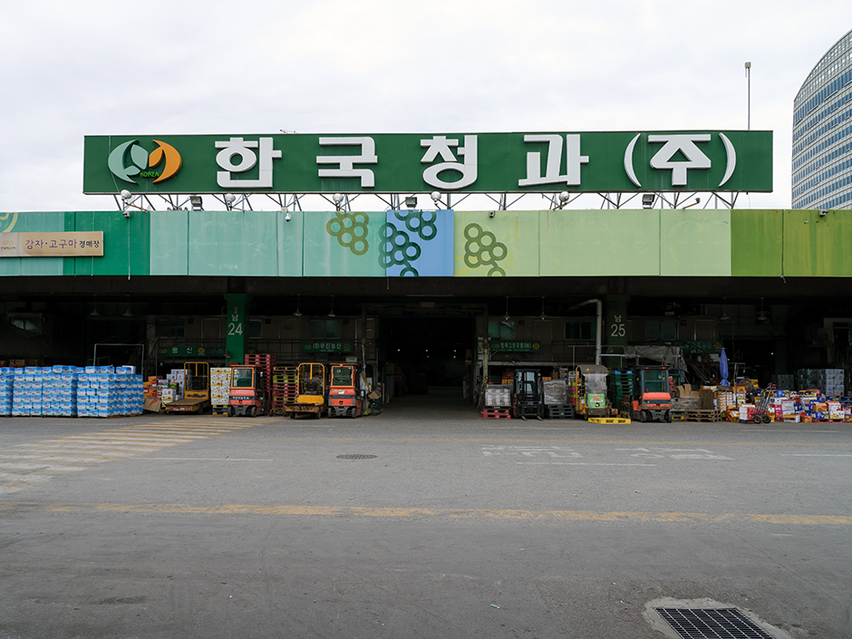 Korean fruits and vegetables official photo